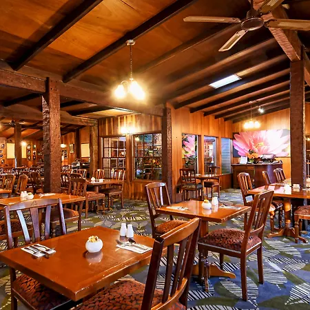 O'Reilly'S Rainforest Retreat-3